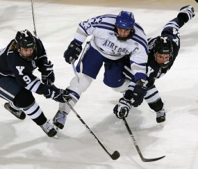 综合格斗赛场焦点！阿根廷队对阵意大利队，球星闪耀，全场焦点无人能挡-KAIYUN